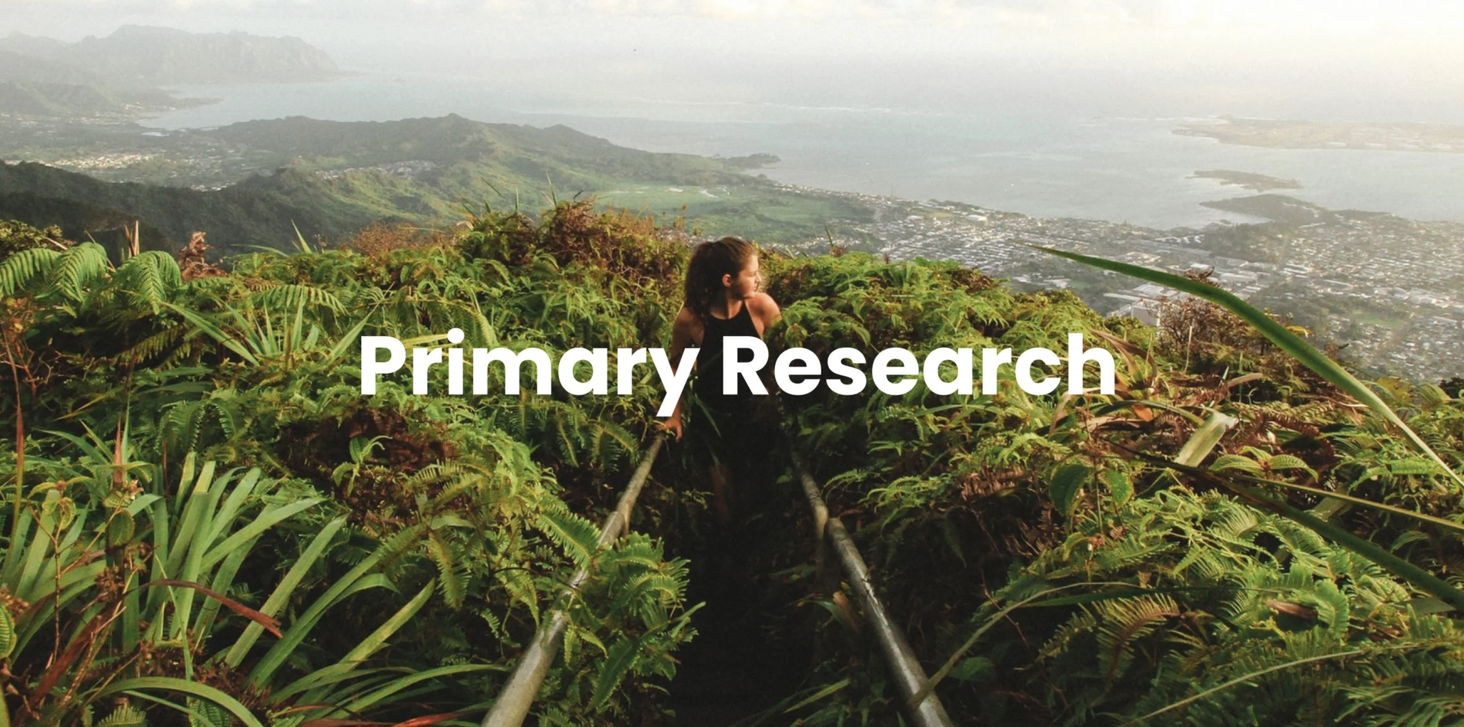 Primary Research section title over a lush mountain vista